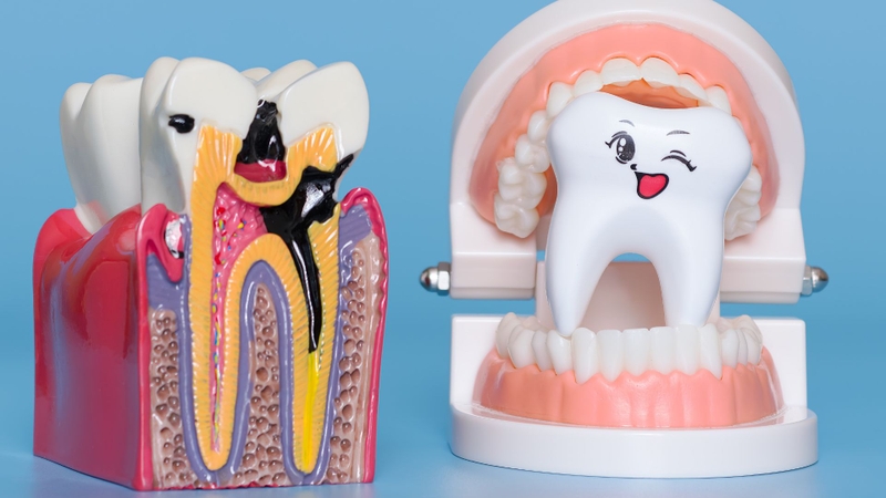 Phosphate có khả năng giảm đáng kể tỷ lệ sâu răng ở chuột