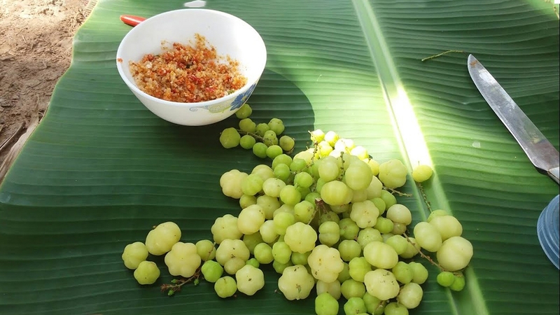 Phụ nữ đang mang bầu ăn chùm ruột được không 1