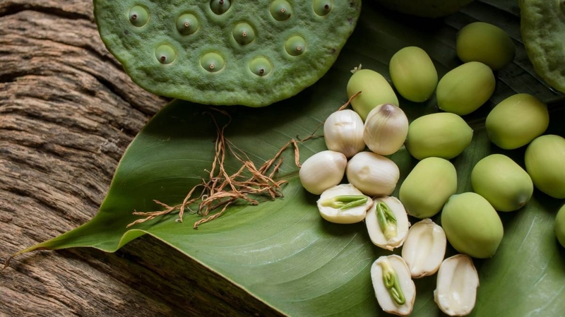 Phụ nữ sau sinh ăn hạt sen được không? Lưu ý gì khi ăn hạt sen 3