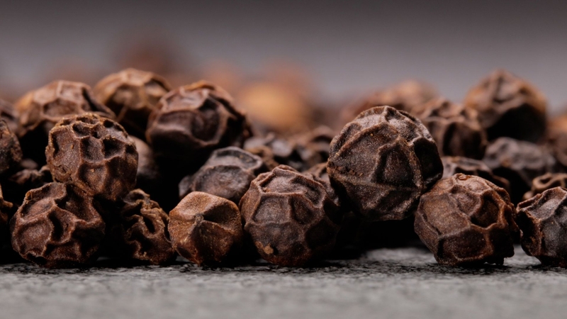 Piperine được chiết xuất chủ yếu từ hạt tiêu đen (Piper nigrum)