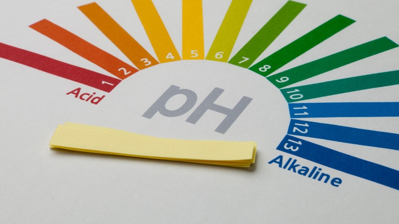 Potassium carbonate phát huy tác dụng chủ yếu nhờ tính kiềm mạnh và khả năng điều hòa cân bằng acid - base trong dung dịch