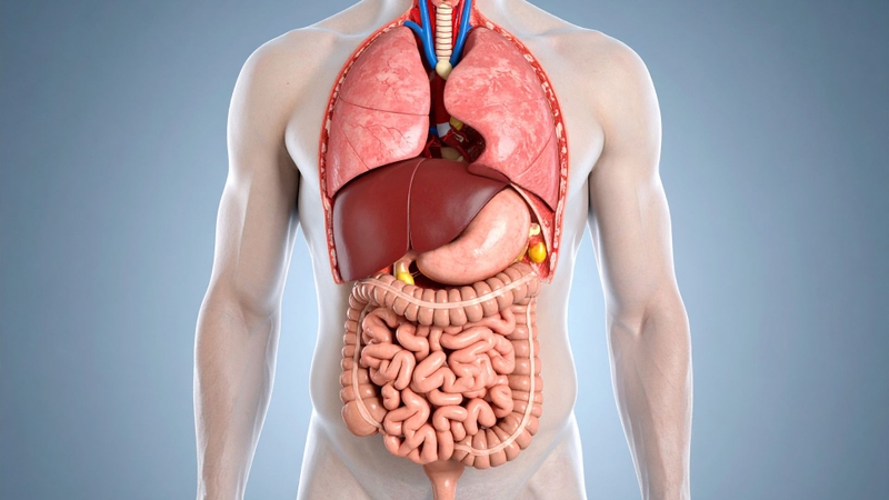 Prazepam chịu chuyển hóa bước đầu mạnh tại gan