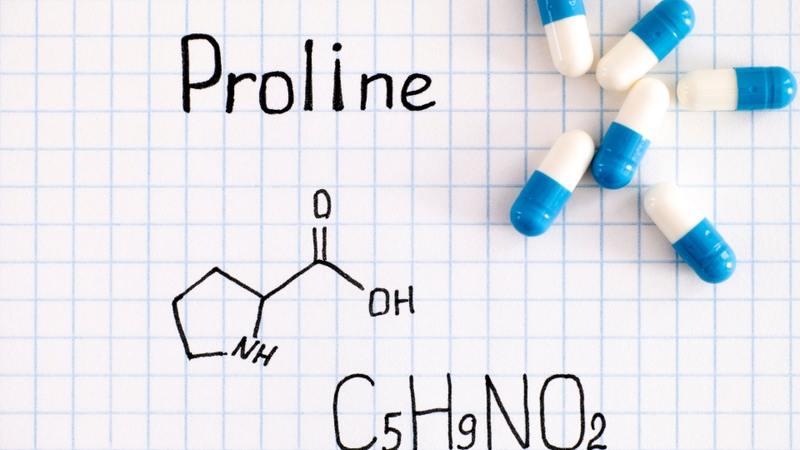 Proline đóng vai trò quan trọng trong cấu trúc collagen