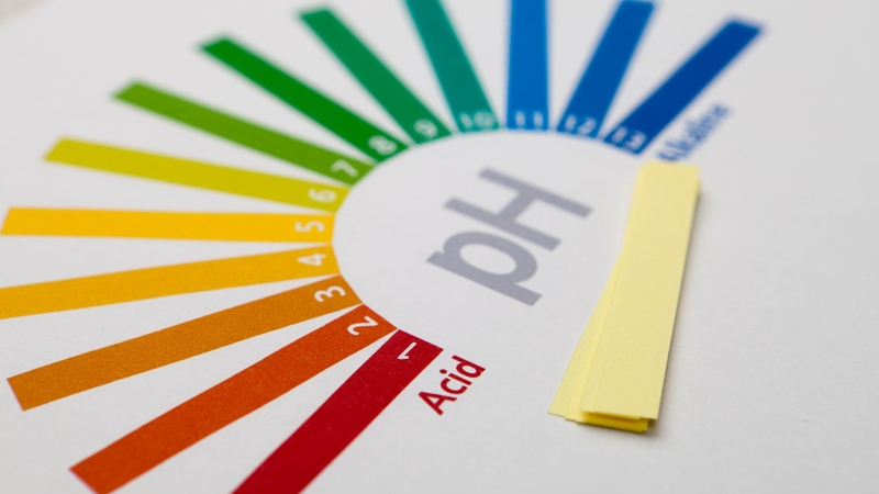 Propanoic acid phân ly và giải phóng ion H⁺ làm giảm pH trong tế bào