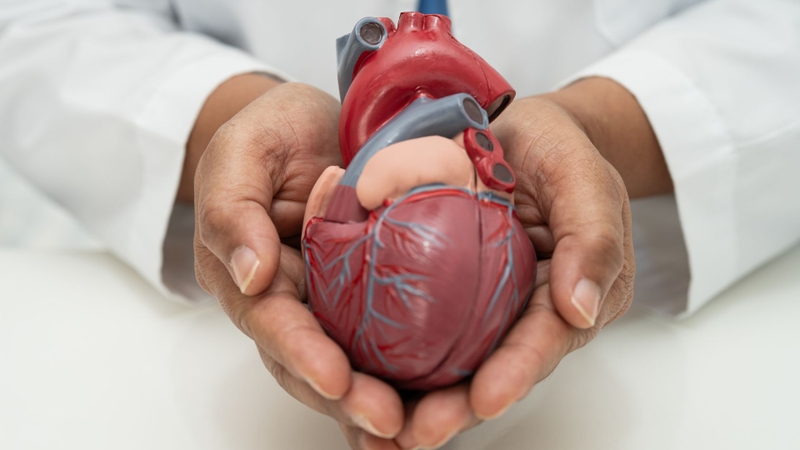 Axit Pyruvic được nghiên cứu trong điều trị rối loạn chuyển hóa và bệnh lý tim mạch