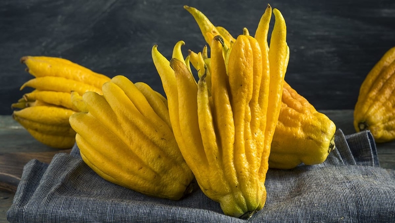 Bật mí các cách trị ho dân gian đơn giản nhưng hiệu quả 3