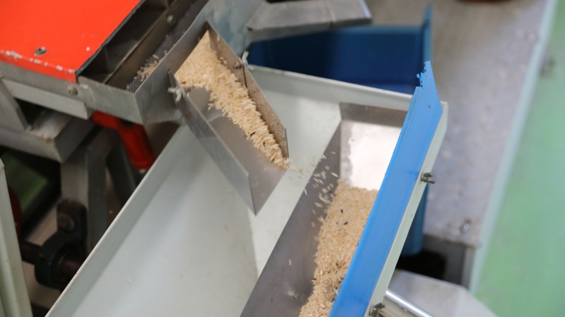 Rice bran là sản phẩm tự nhiên thu được trong quá trình xay xát lúa