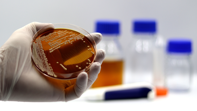 Saccharomyces boulardii: "Vệ sĩ" bảo vệ đường ruột 1