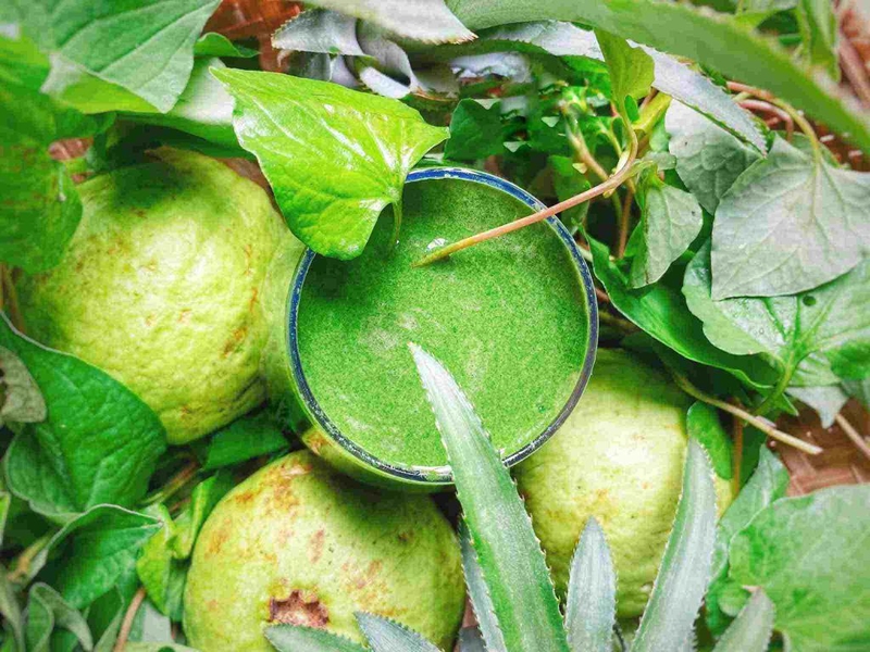 Sau khi nâng mũi ăn rau diếp cá được không? Giải đáp thắc mắc cho phái đẹp sau thẩm mỹ 4