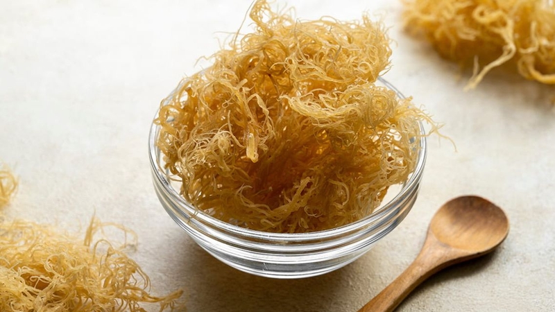 Sea Moss Gel là gì và có công dụng gì với sức khỏe 2