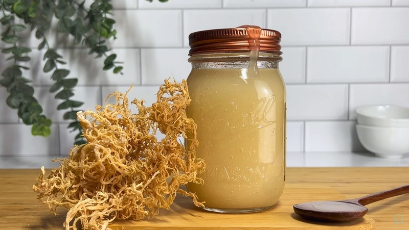 Sea Moss Gel là gì và có công dụng gì với sức khỏe 4