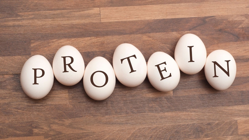 Serine tham gia cấu tạo nhiều loại protein trong cơ thể