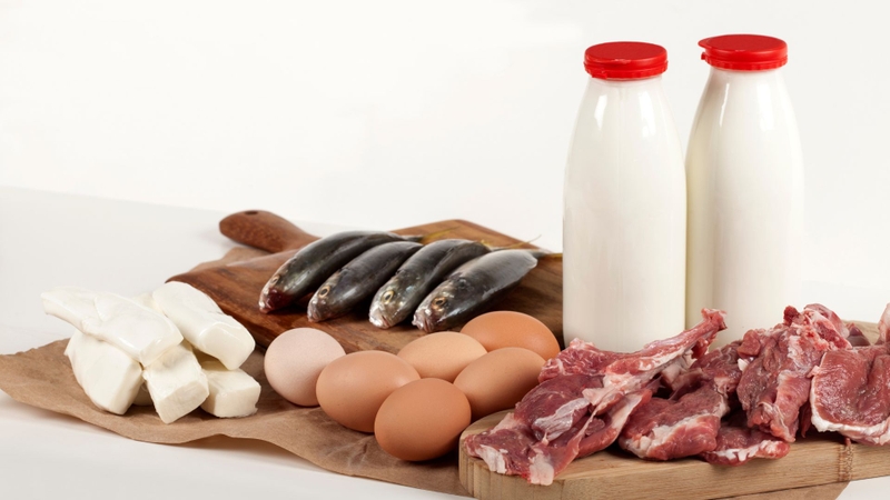 Có thể bổ sung Serine qua chế độ ăn hàng ngày như thịt, cá, trứng, sữa, đậu và ngũ cốc nguyên cám