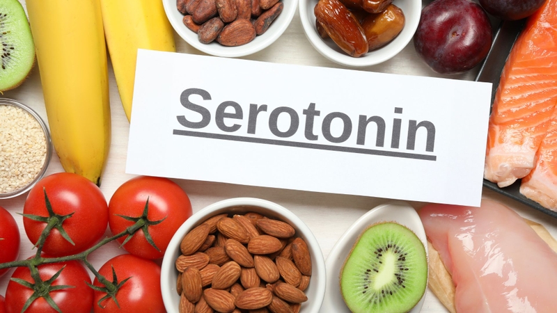Thực phẩm giàu tryptophan như thịt, cá, trứng, sữa, hạt và đậu giúp cơ thể tạo serotonin, hỗ trợ ổn định tâm trạng