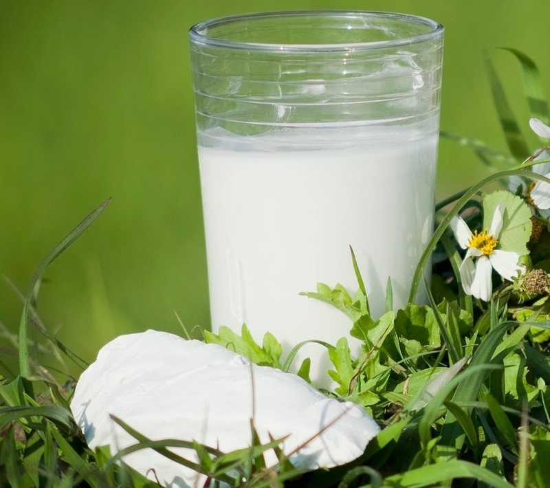 Sử dụng bột sắn dây trị táo bón cho trẻ liệu có hiệu quả như lời đồn? 3