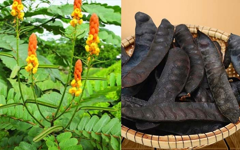 Su-dung-la-muong-trau-tri-vay-nen-duoc-khong (4).png