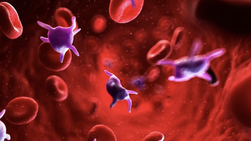 suy-nhuoc-tieu-cau-nguyen-nhan-va-cach-dieu-tri 1