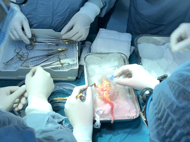 Suy thận độ 5 là gì? Mức độ nguy hiểm và tiên lượng của suy thận độ 5 3