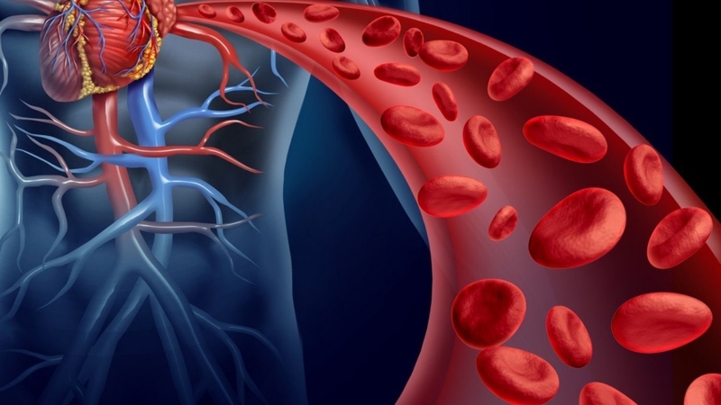 Suy tim mạn tính 5.jpeg