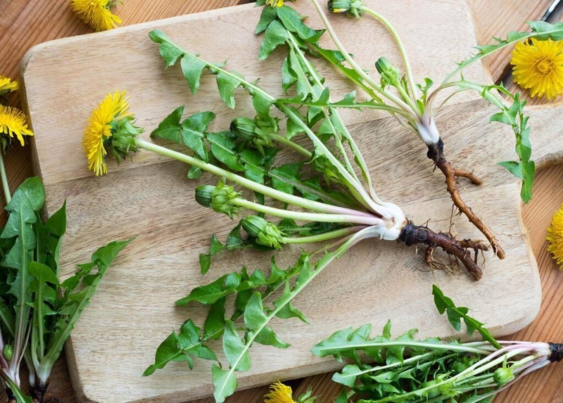 Tắc tia sữa là gì? Hướng dẫn một số mẹo dân gian chữa tắc tia sữa 3