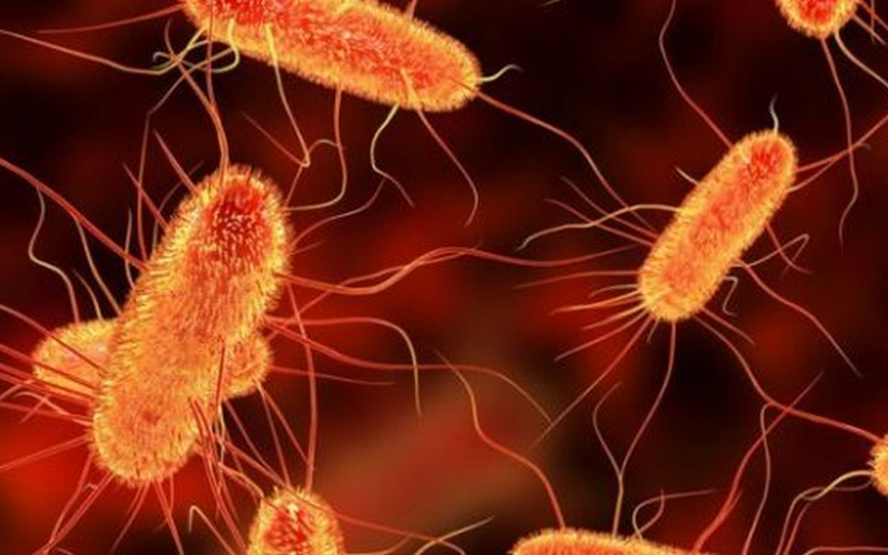 Tai-sao-di-ngoai-co-chat-nhay-mau-vang (2).png