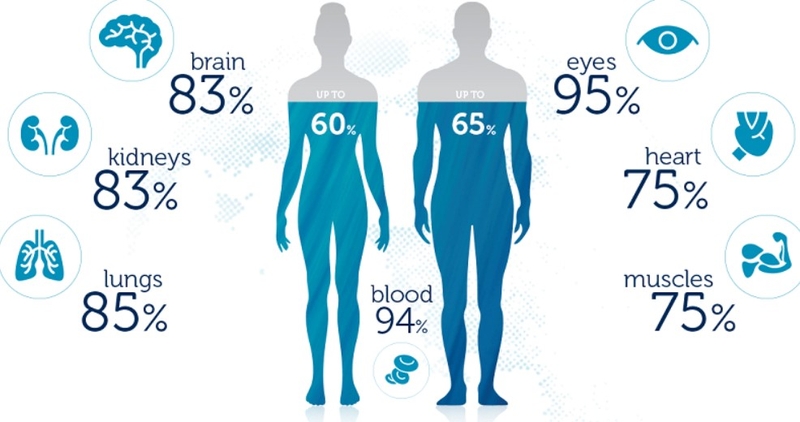Tăng tính thấm thành mạch là gì 01