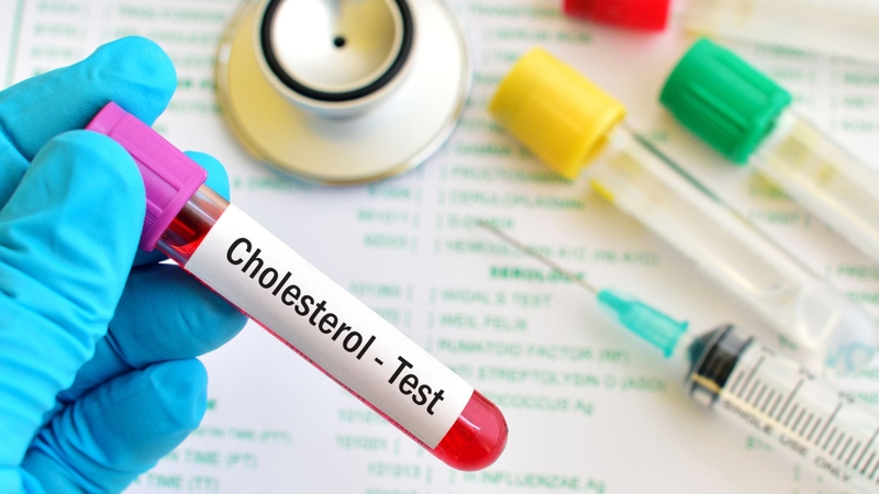Tauroursodeoxycholic acid có tác dụng làm giảm lượng cholesterol được hấp thu