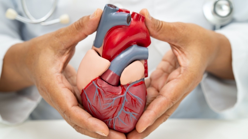 Tương tác thuốc của Terfenadine và một số thuốc có thể gây rối loạn nhịp tim