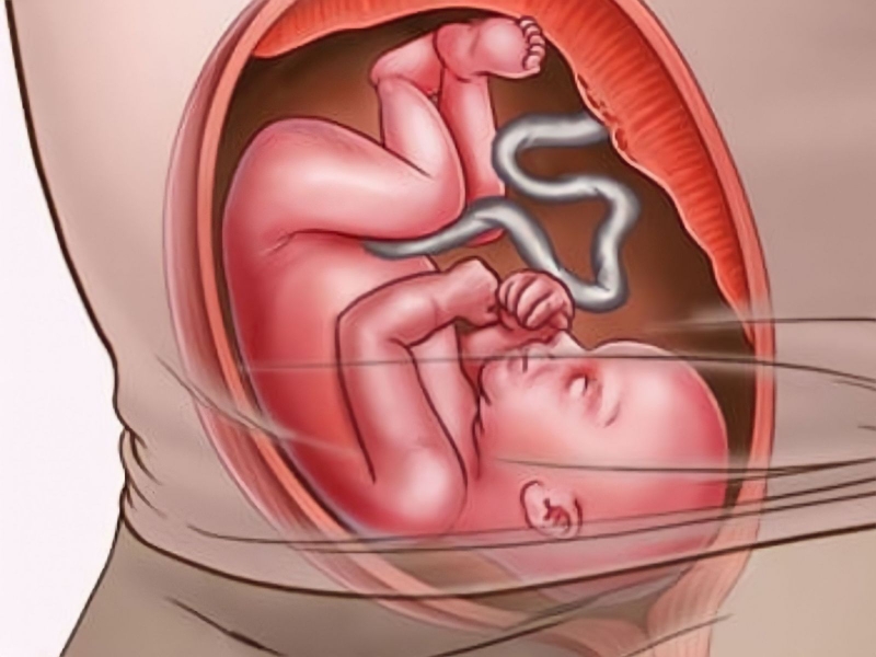 Thai 24 tuần nặng bao nhiêu là chuẩn? Một số lưu ý mẹ bầu cần biết trong giai đoạn mang thai 2