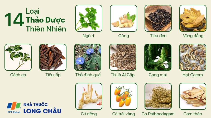 ​​Tinh chất thảo dược Eugica Cold Flu Mega We Care 2
