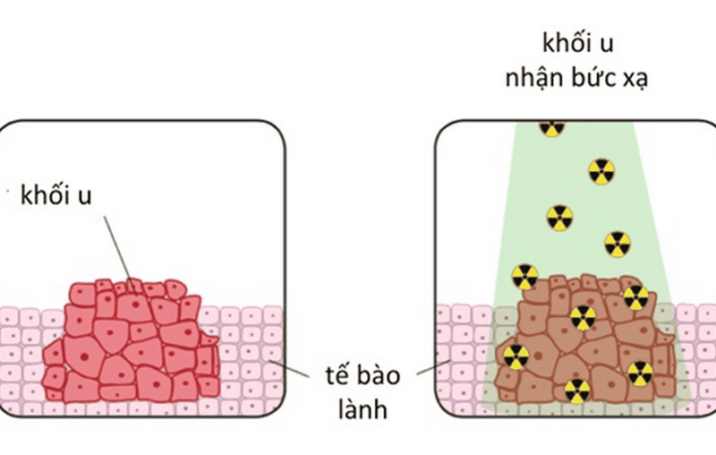 Thong-tin-can-biet-lien-quan-den-quy-trinh-xa-tri 2.png