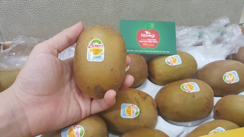 Thực phẩm GMO và cách nhận biết đơn giản nhất