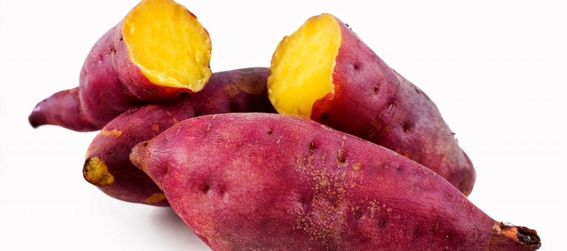 Thực phẩm chống cảm cúm