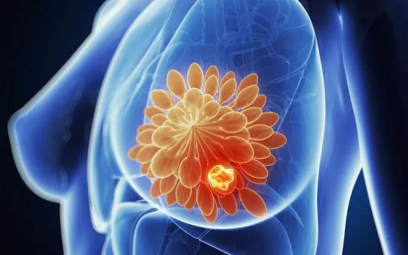 Thuốc nội tiết cho bà bầu uống được không? Vai trò và nguy cơ khi sử dụng 4