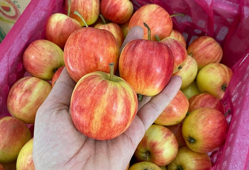 Tiết lộ một số cách chữa nóng rát dạ dày tại nhà 3