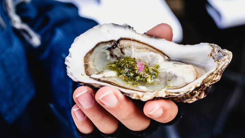 Tinh chất hàu Oyster Plus có tác dụng gì đối với nam giới 1