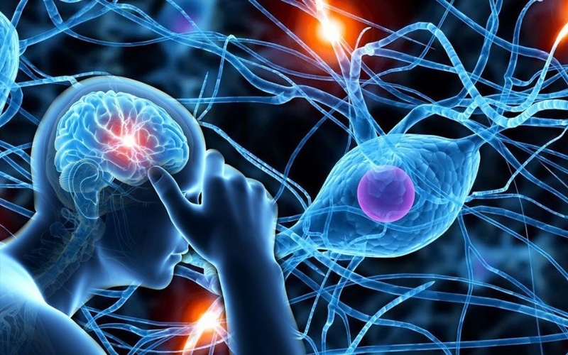 Tổn thương chất trắng não gây nguy hiểm không? Những điều bạn nên biết 1