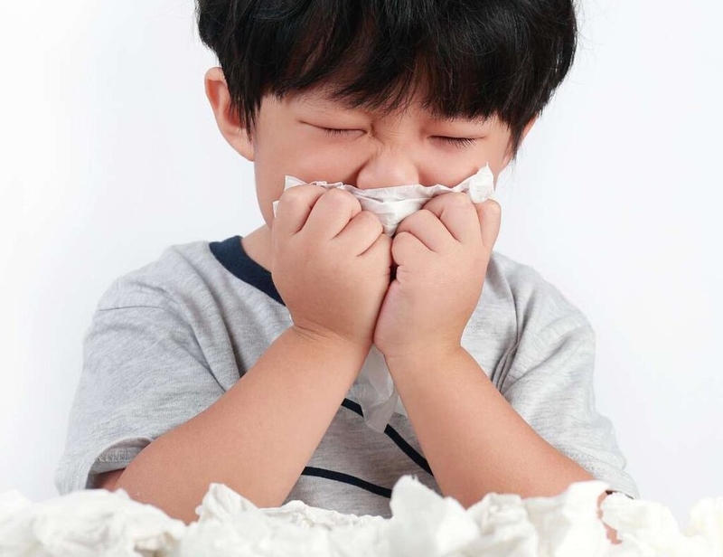 Top 4 cách trị sổ mũi cho bé bằng dầu tràm không phải ai cũng biết 1