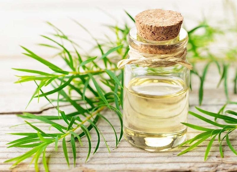 Top 4 cách trị sổ mũi cho bé bằng dầu tràm không phải ai cũng biết 2