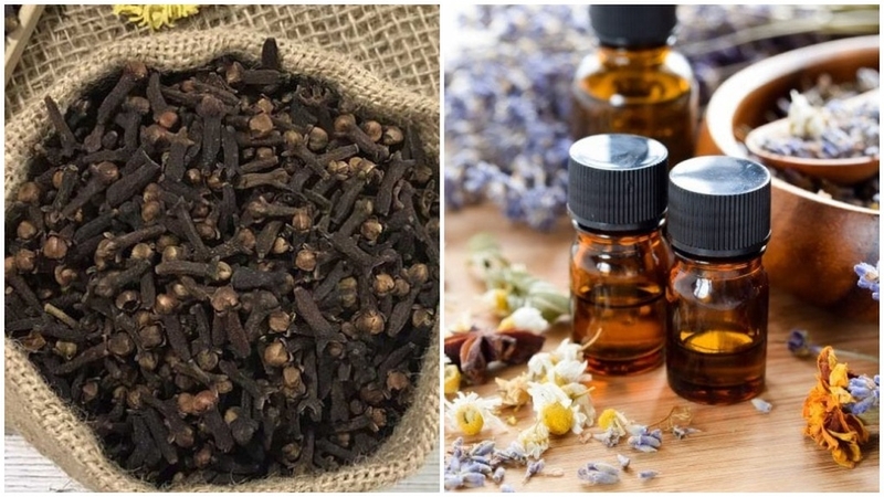 Top những cách trị nhức răng cho bà bầu tại nhà an toàn và hiệu quả 2