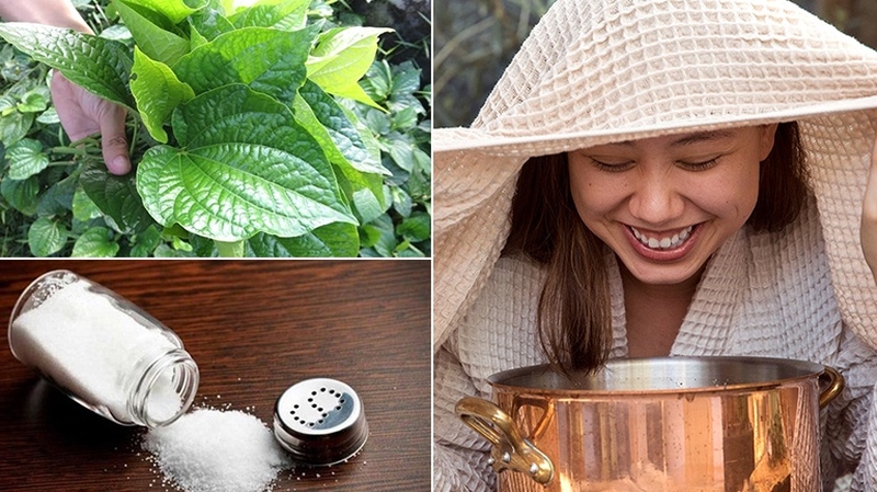 Trị mụn bằng lá lốt có thực sự hiệu quả 3