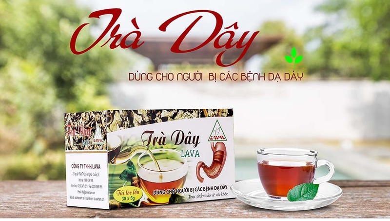 Trà dây Lava bán ở đâu? Công dụng của sản phẩm là gì 3