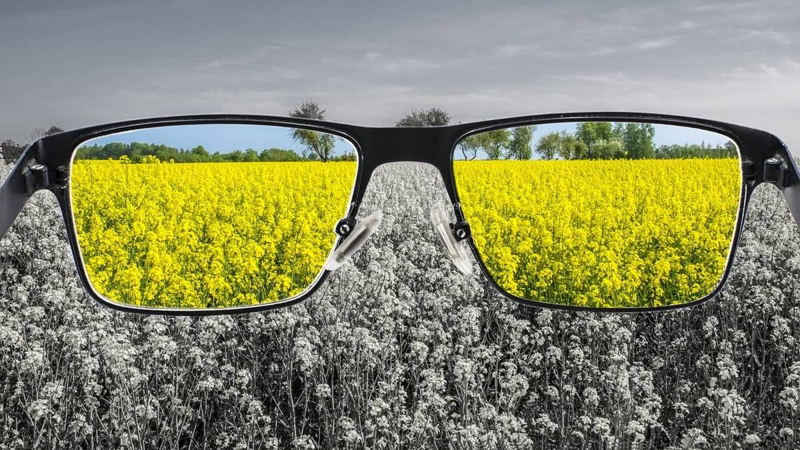 Trắc nghiệm bạn có bị mù màu không? 4