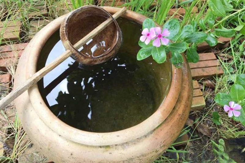 Trẻ bị muỗi đốt sưng to nguy hiểm như thế nào?