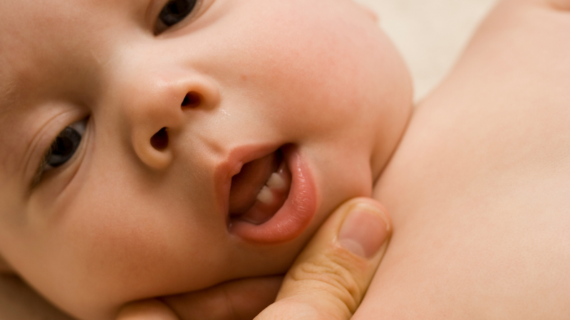 tre-moc-rang-som-nhat-la-may-thang-cach-nhan-biet-va-cham-soc-tre-moc-rang 1