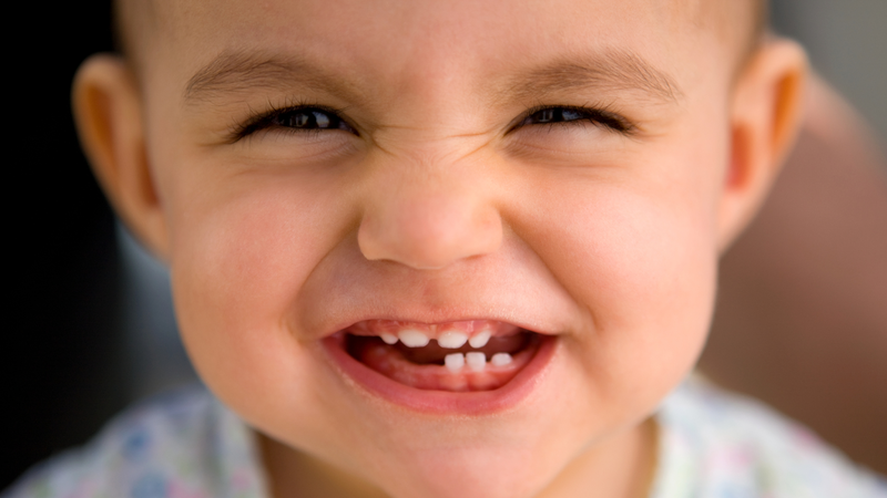 tre-moc-rang-som-nhat-la-may-thang-cach-nhan-biet-va-cham-soc-tre-moc-rang 4