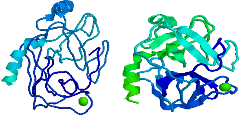 Trong nước bọt có chứa loại enzim nào? 3