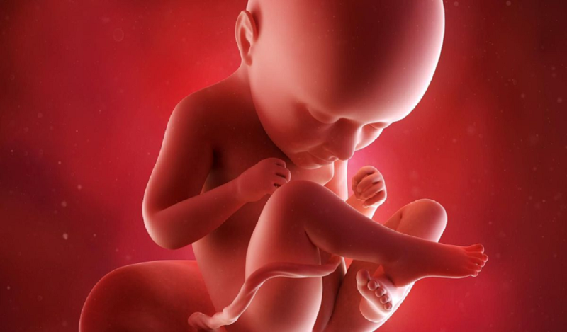 Tư thế nằm của thai nhi 24 tuần tuổi và những lưu ý dành cho bà bầu trong thời gian này 2