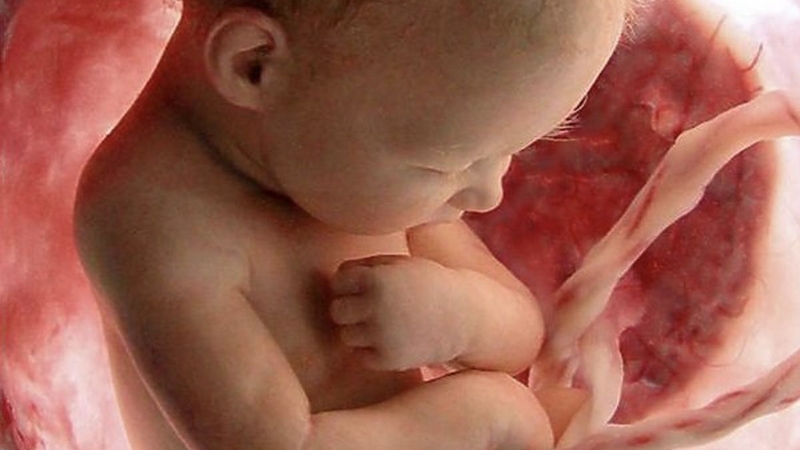 tu-the-nam-cua-thai-nhi-26-tuan-chuan-bi-cho-ngay-chao-doi 1