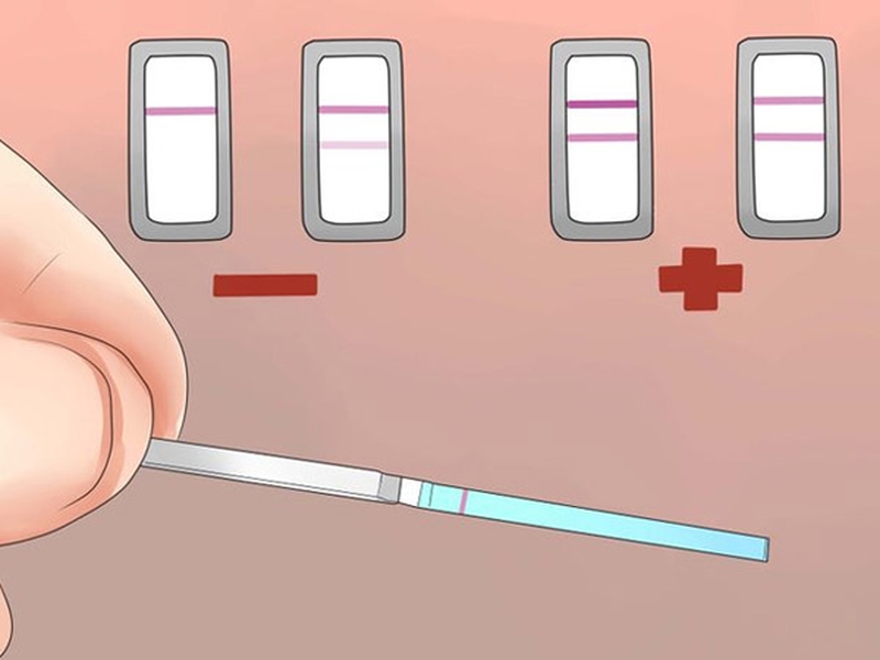 “Tuổi thọ” của trứng sống trong tử cung sau khi rụng là bao nhiêu 2